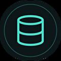 ERP icon: database
